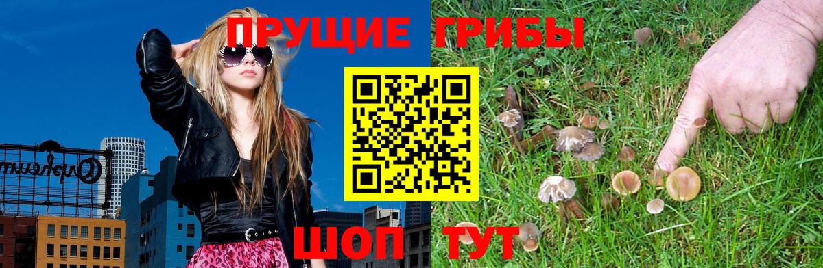Псилоцибиновые грибы MAGIC MUSHROOMS  где купить   Новошахтинск  Псилоцибиновые грибы Psilocybe  Вход с VPN 