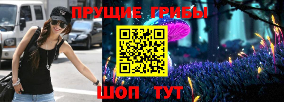 Псилоцибиновые грибы Cubensis Новошахтинск